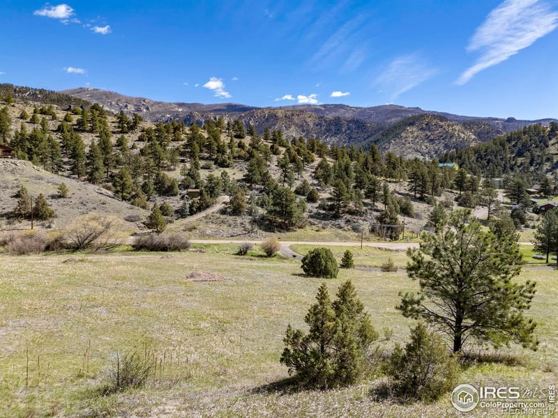 45 Solitude Ct, Glen Haven, CO 80532