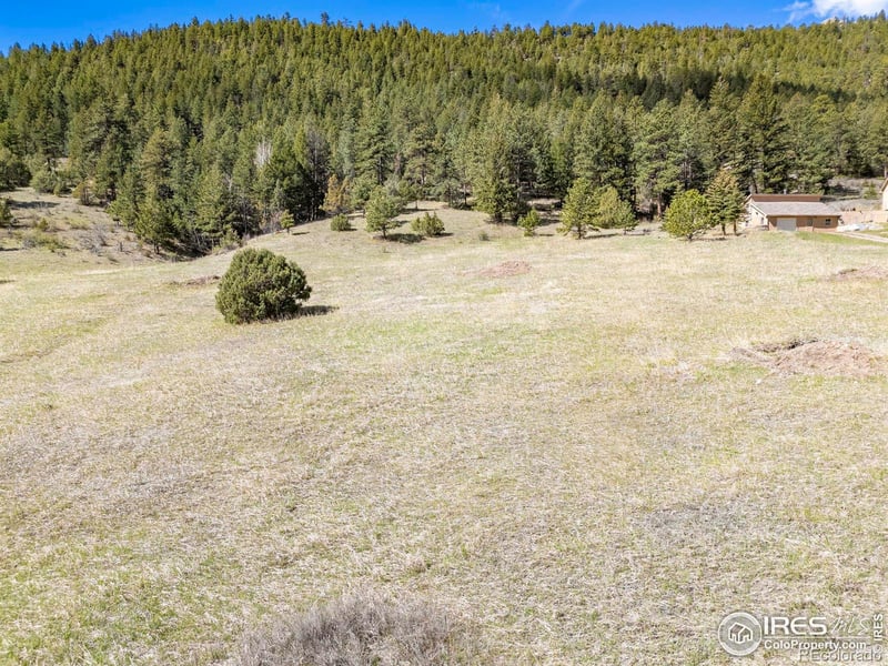 45 Solitude Ct, Glen Haven, CO 80532