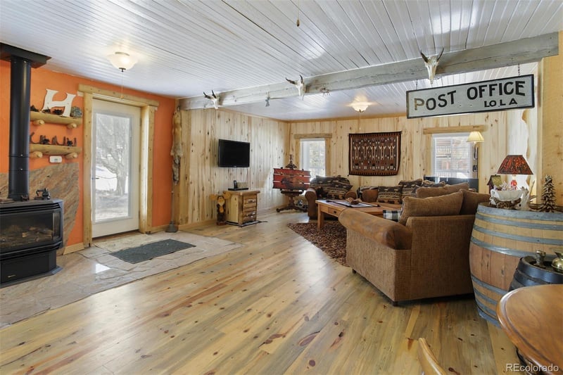 2584 County Road 12, Alma, CO 80420