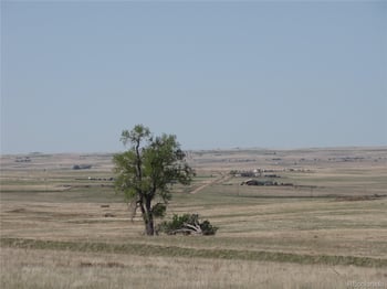 31755 Vorenberg Rd, Calhan, CO 80808