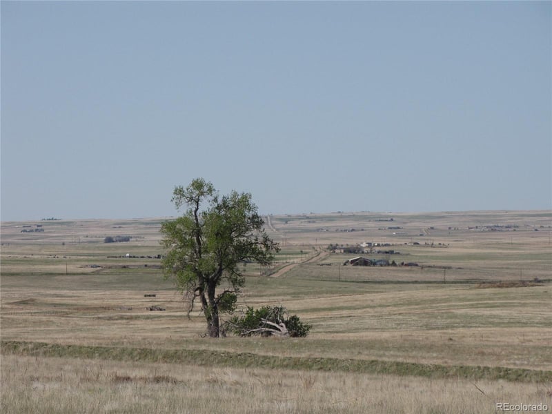 31755 Vorenberg Rd, Calhan, CO 80808