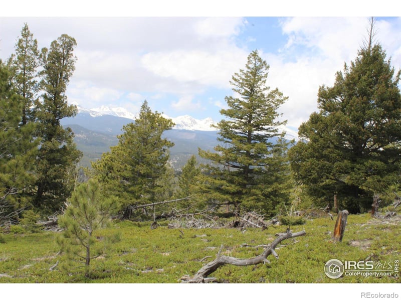 0 Lefthand Canyon Dr, Jamestown, CO 80455