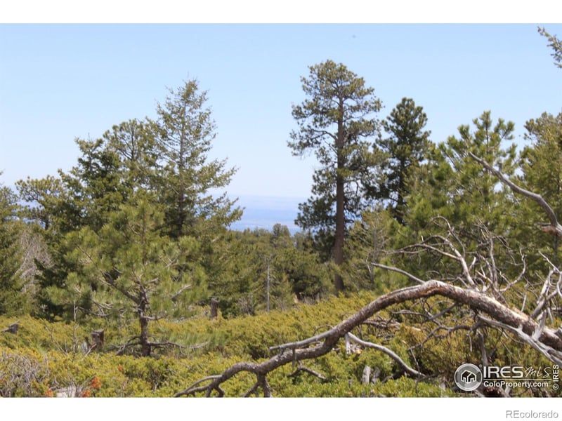 0 Lefthand Canyon Dr, Jamestown, CO 80455