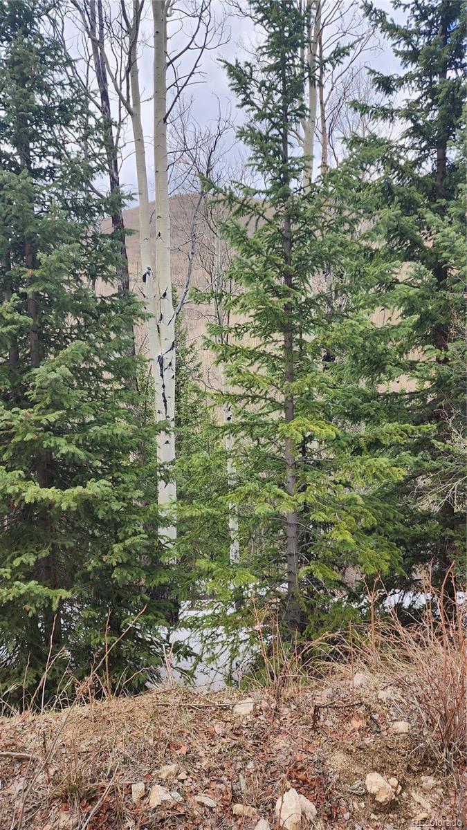 6435 Bronfman Rd, San Luis, CO 81152