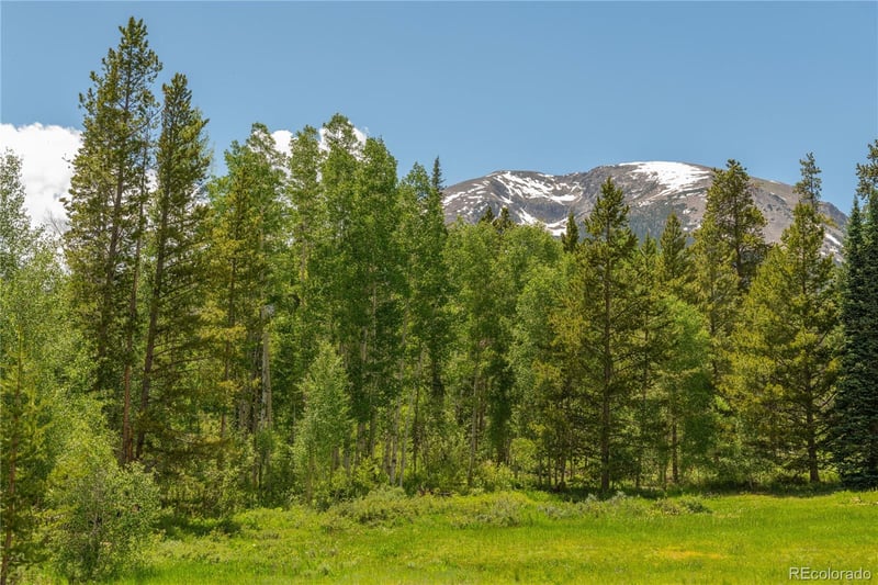 1318 Royal Buffalo Dr, Silverthorne, CO 80498