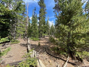 2216 Valley Of The Sun Dr, Fairplay, CO 80440