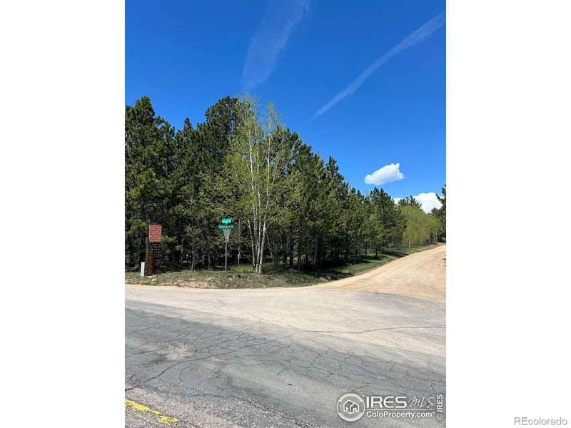 75 Overland Dr, Ward, CO 80481