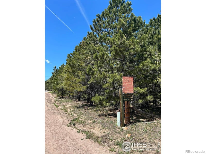 75 Overland Dr, Ward, CO 80481