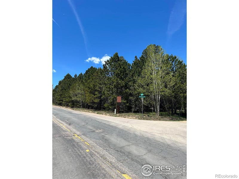 75 Overland Dr, Ward, CO 80481