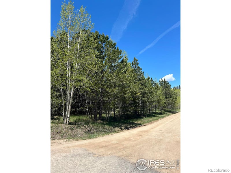 75 Overland Dr, Ward, CO 80481