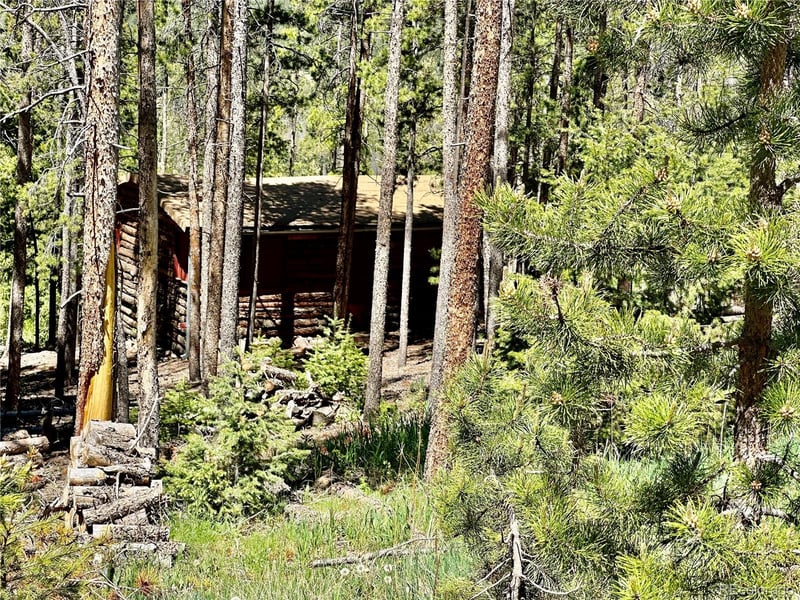 26380 Pleasant Park Rd, Conifer, CO 80433