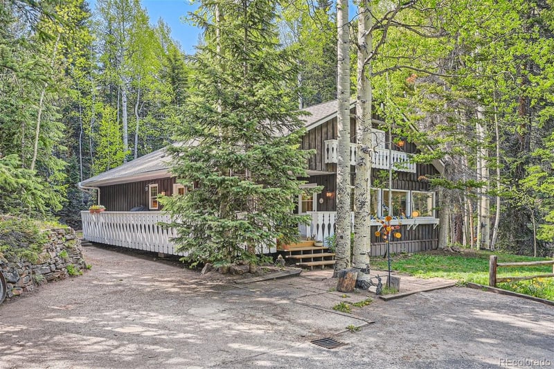 118 Moss Ln, Dumont, CO 80436