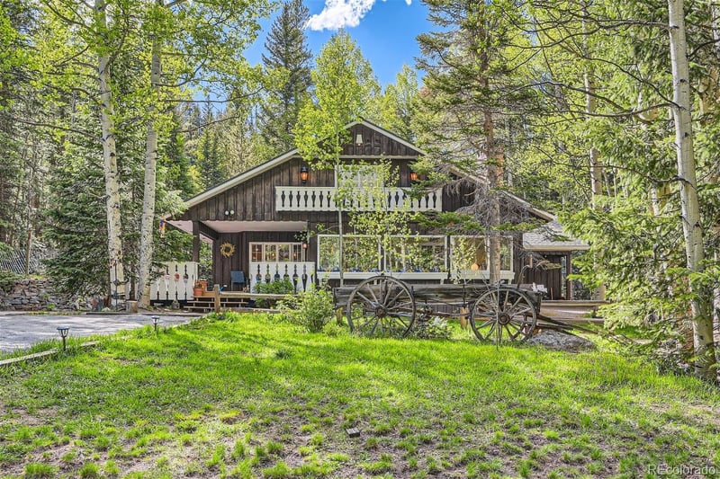 118 Moss Ln, Dumont, CO 80436