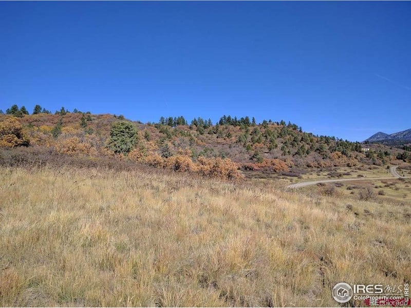 919 Roush Dr, Pagosa Springs, CO 81147