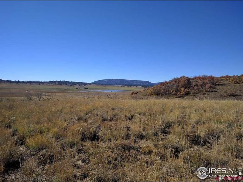 919 Roush Dr, Pagosa Springs, CO 81147