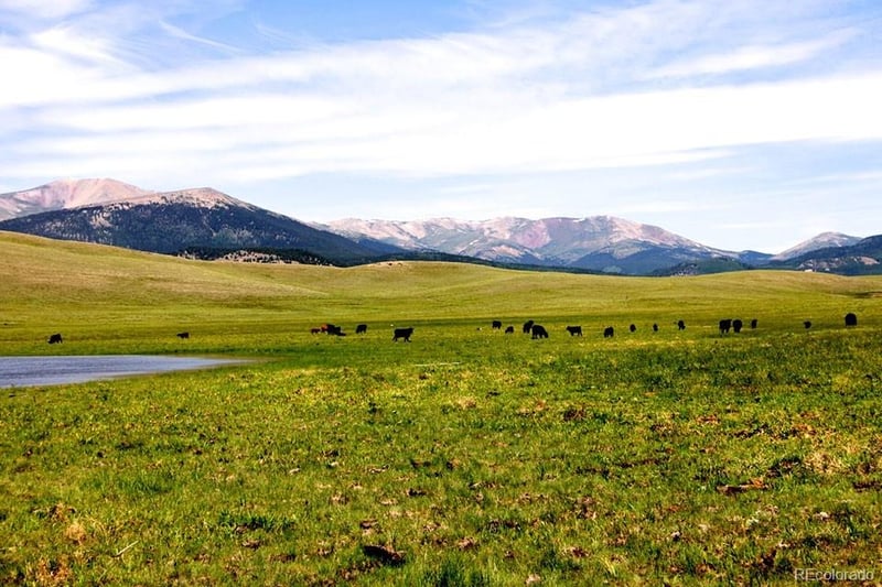 21103 Elkhorn Rd, Como, CO 80432