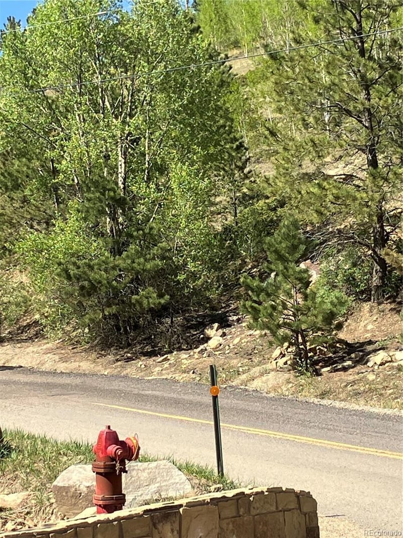 801 Eureka St, Central City, CO 80427