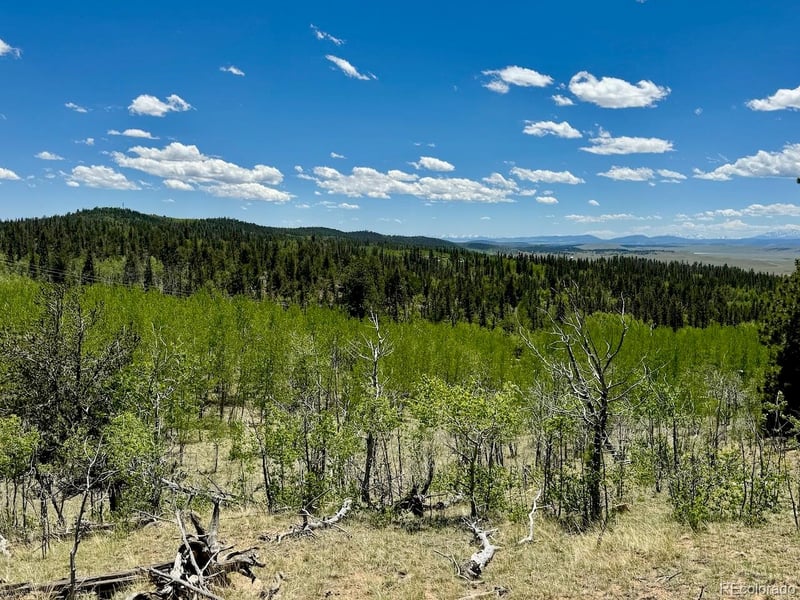 122 Shoshone Dr, Como, CO 80456