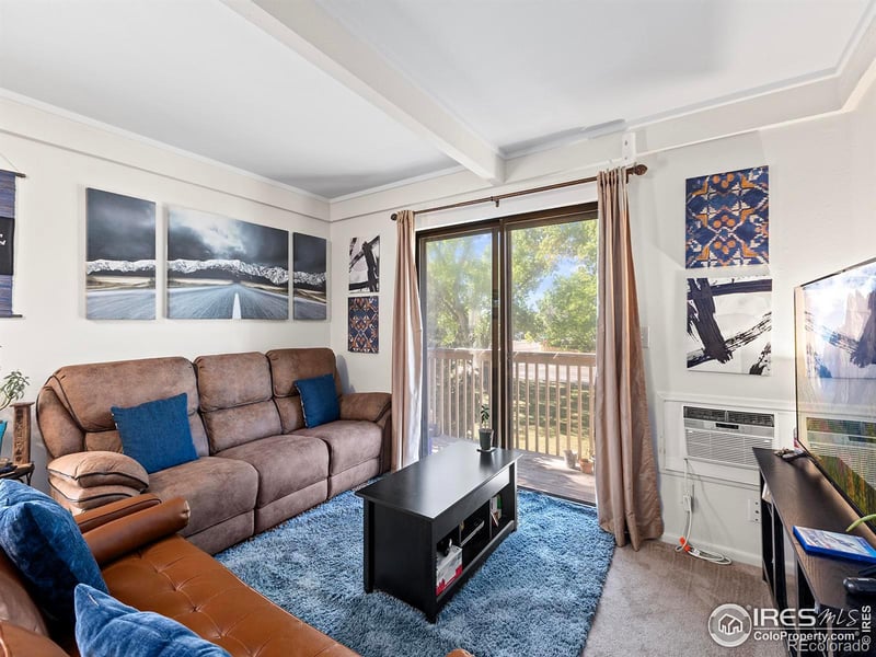806 Stone Mountain Dr #201, Windsor, CO 80550