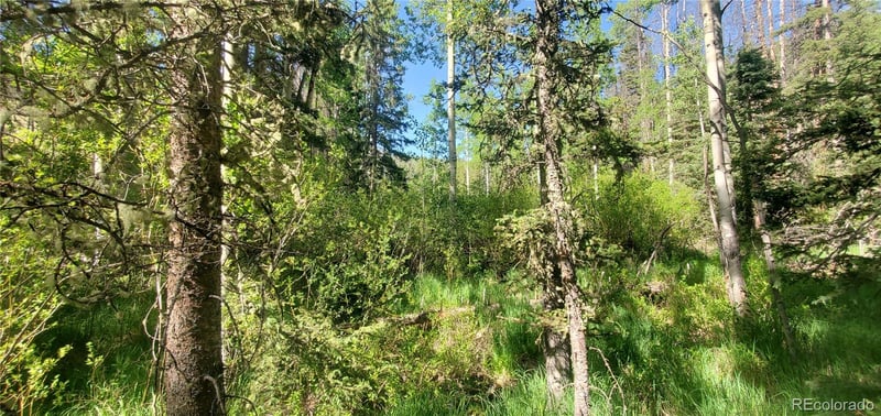 5660 Kawasaki Rd Lot 5660, San Luis, CO 81152