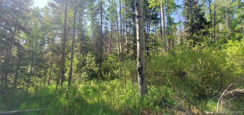 5660 Kawasaki Rd Lot 5660, San Luis, CO 81152