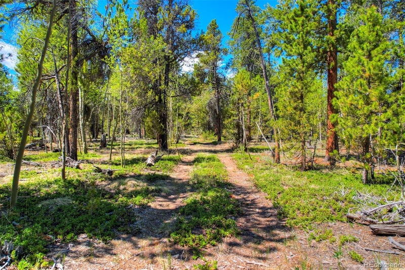 Busch Run Rd, Fairplay, CO 80440