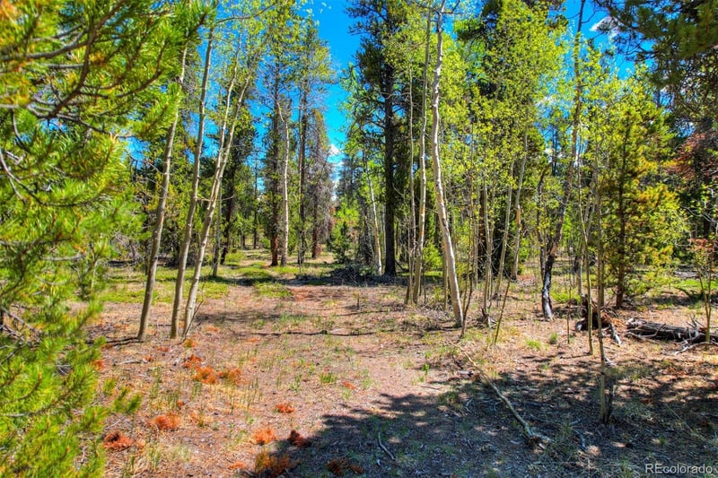 Busch Run Rd, Fairplay, CO 80440