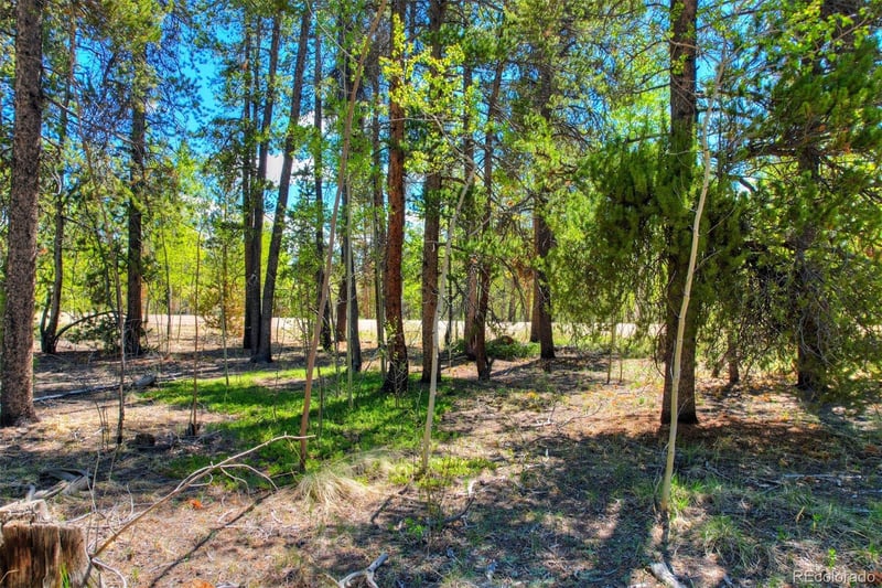 Busch Run Rd, Fairplay, CO 80440