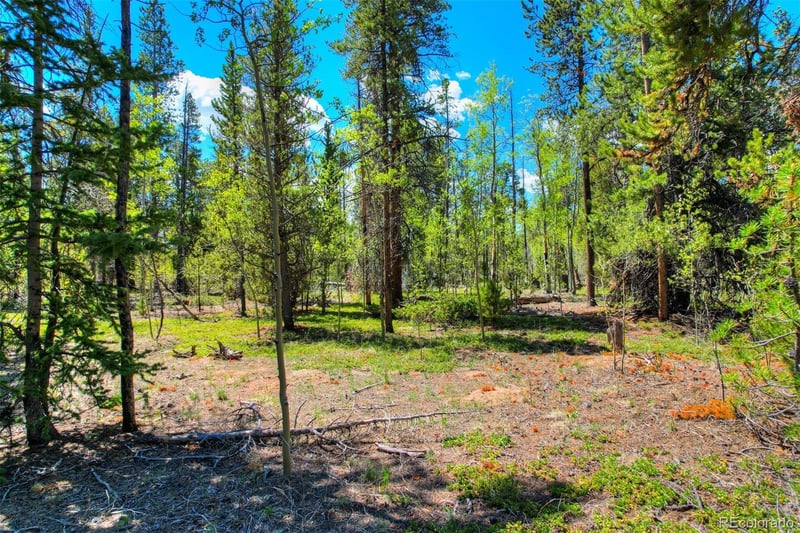 Busch Run Rd, Fairplay, CO 80440
