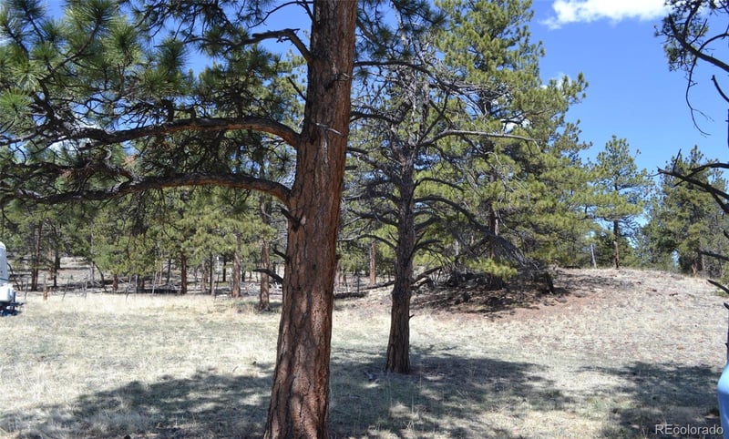 5000 County Rd 59, Guffey, CO 80820