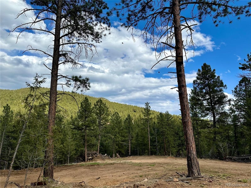 87 Road C Lot 06, Pine, CO 80470