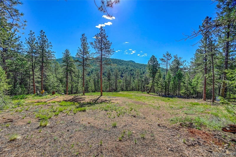 87 Road C Lot 06, Pine, CO 80470