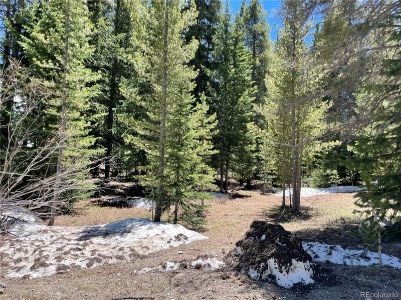 15 Wilderness Dr Lot 230, Breckenridge, CO 80424