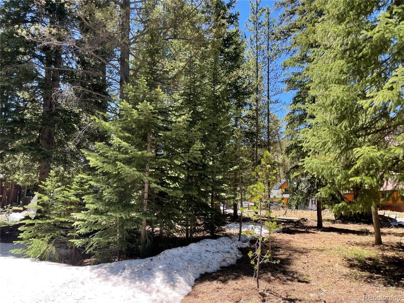 15 Wilderness Dr Lot 230, Breckenridge, CO 80424