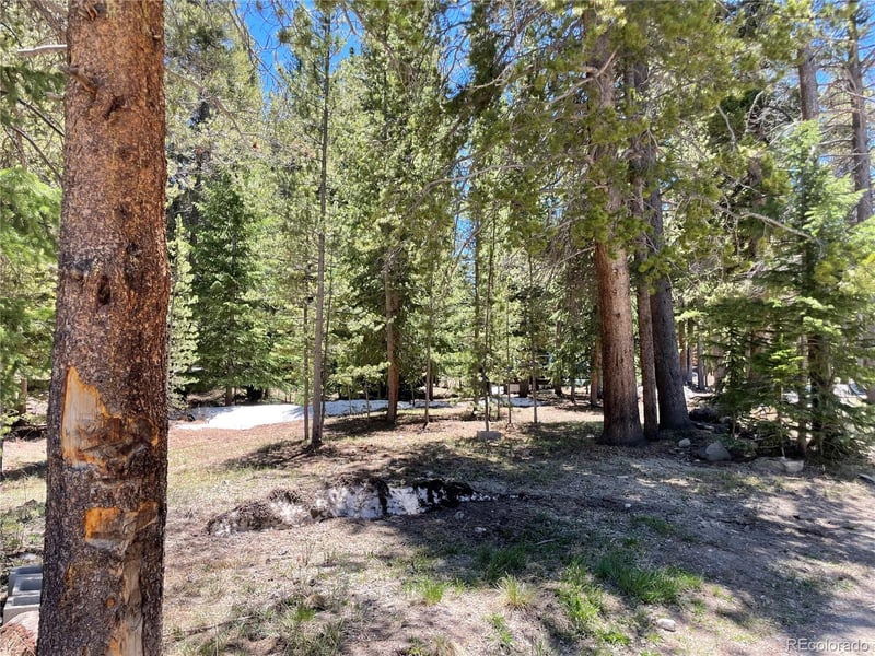 15 Wilderness Dr Lot 230, Breckenridge, CO 80424