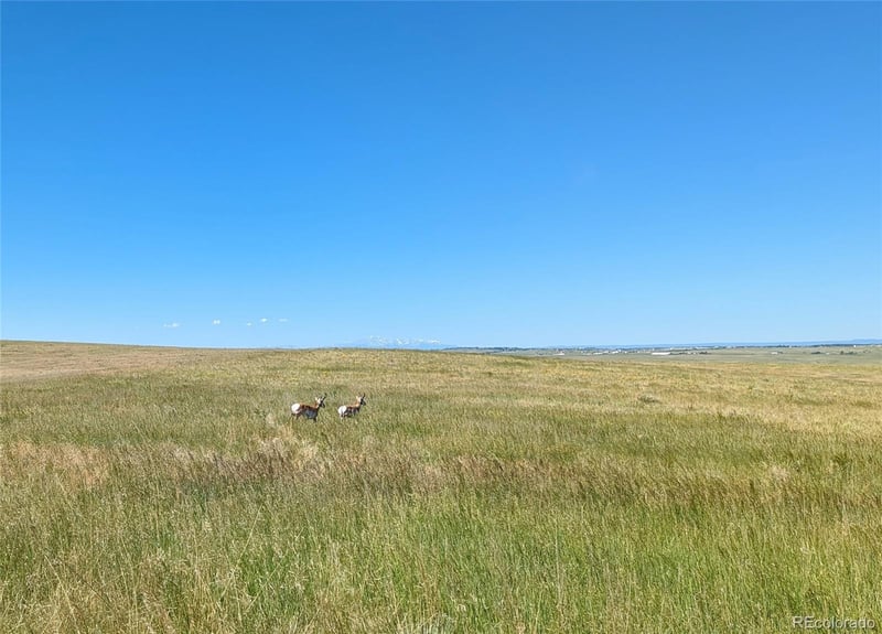 Parcel 9 Quietude Ln, Kiowa, CO 80117