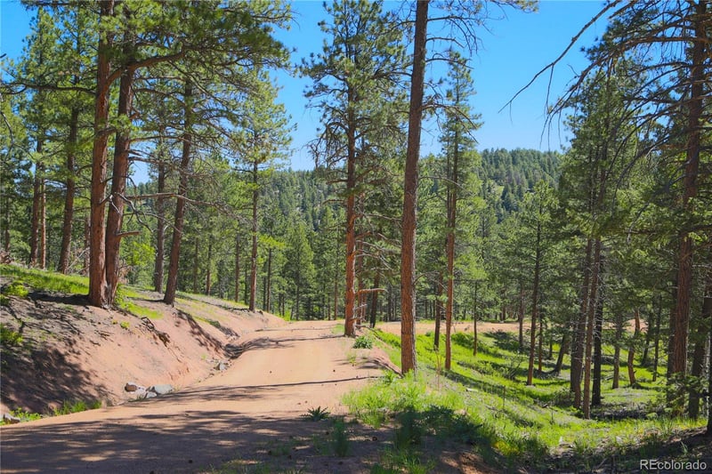 0 N County Highway 67, Sedalia, CO 80135