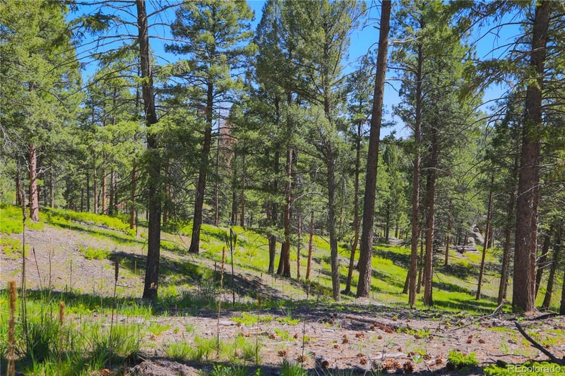 0 N County Highway 67, Sedalia, CO 80135