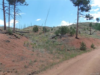 14691 Crooked Trail Rd, Woodland Park, CO 80863