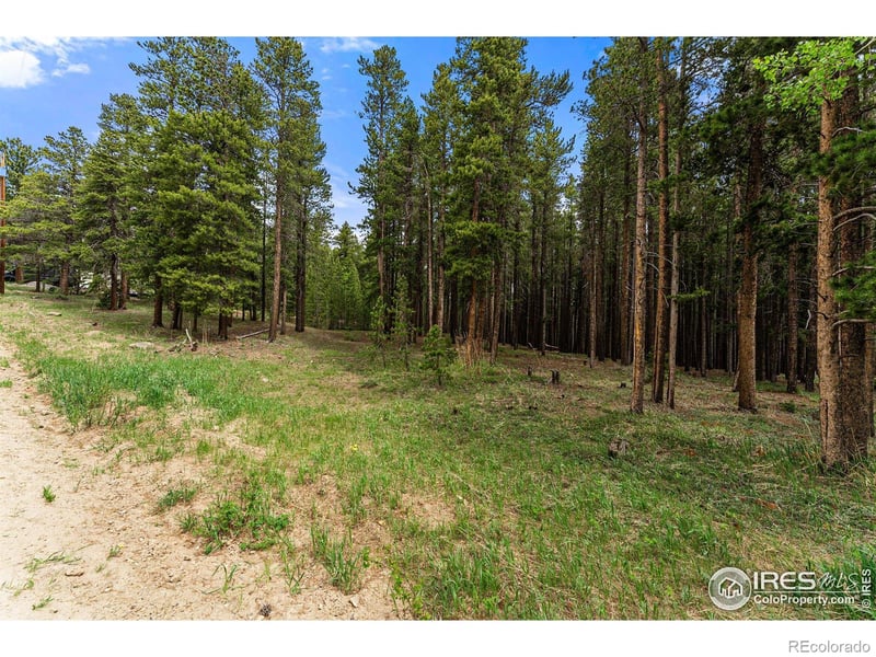 0 Dudes Dr, Rollinsville, CO 80474
