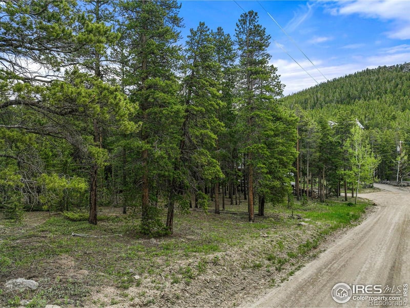 0 Dudes Dr, Rollinsville, CO 80474