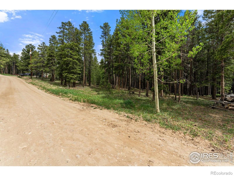 0 Dudes Dr, Rollinsville, CO 80474