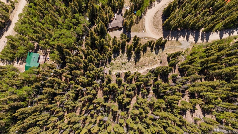 797 Peterson Dr, Fairplay, CO 80440