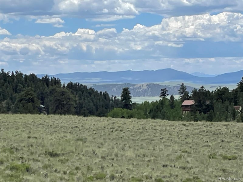 853 La Plata Dr, Hartsel, CO 80449