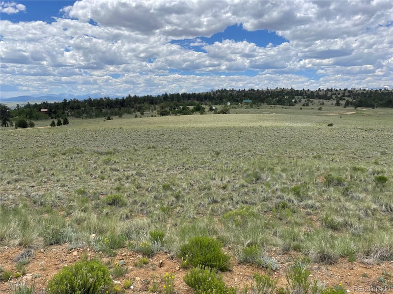 853 La Plata Dr, Hartsel, CO 80449