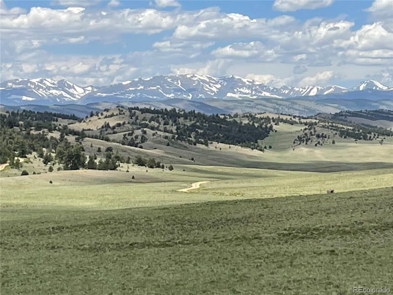 853 La Plata Dr, Hartsel, CO 80449