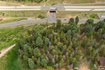 26824 Rascal Ln, Conifer, CO 80433