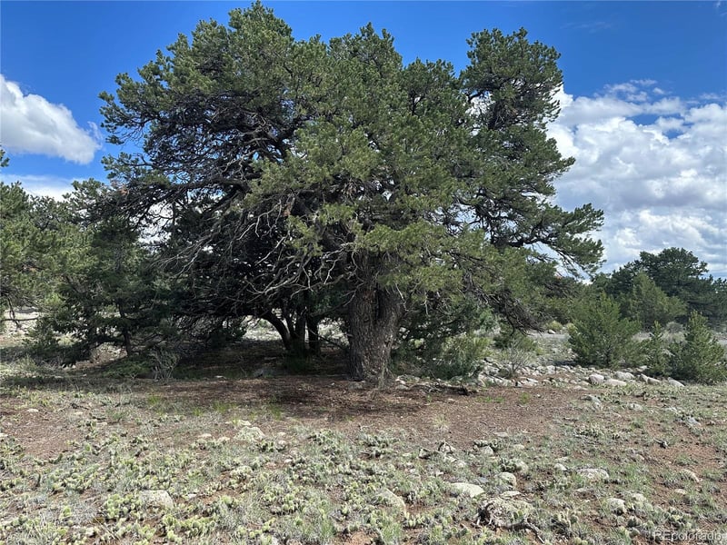 3694 Enchanted Way, Crestone, CO 81131