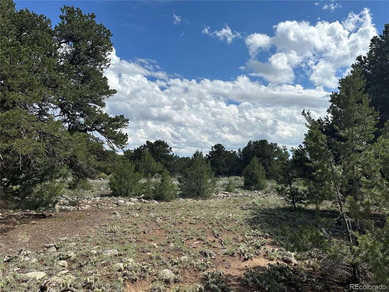 3694 Enchanted Way, Crestone, CO 81131