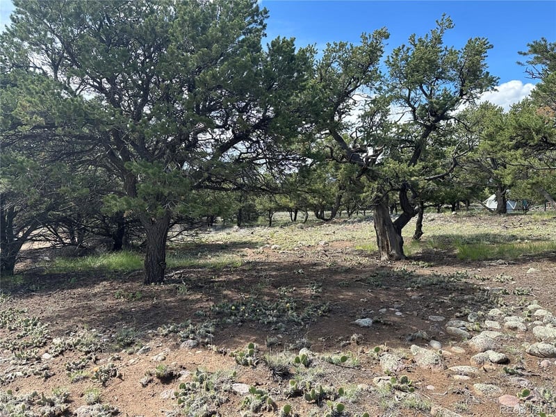 3694 Enchanted Way, Crestone, CO 81131